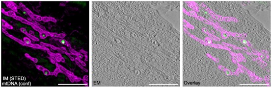 1cb94b87ee42454ab944afbba6e71861.jpg 图片5.jpg