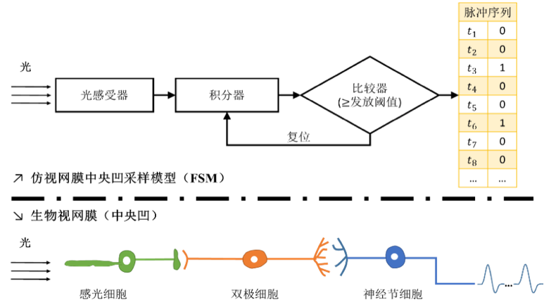 e6d7c0124f87412ea26c880a8ebcdd9f.png
